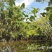 lake_mandicocha_la_h_0222_ecu0925.jpg